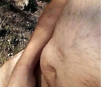 Naked road. Desnudo camino