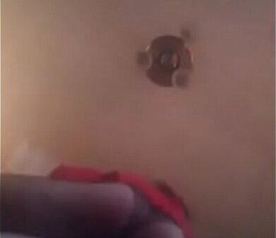 Wild Wva. Staring Deepbutt Dillon