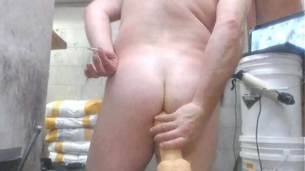 MUST white curvy buttcheeks beads dildos