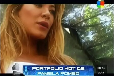 Portfolio Pamela Pombo Animales Sueltos