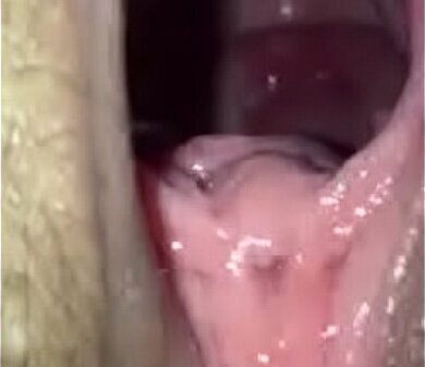 カップルハメ撮り