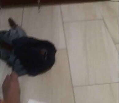 Chico erecto mexicano caliente. Samuel