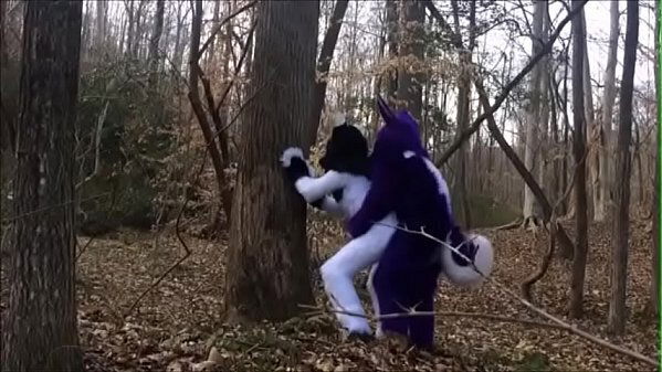 Fursuit Couple Mating Woods