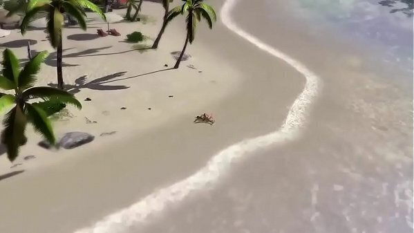 Busty Anime Girls Naked Dancing Beach