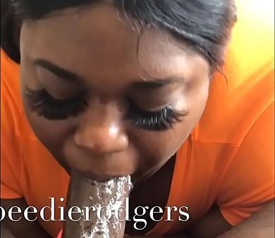 Swallow (whitneysowet)