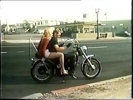 Vintage TAO Collector'_s Series 6