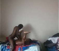 TonyPipes Yung Stallion