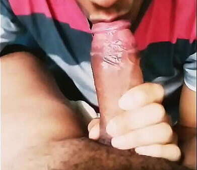 Chupandosela haitiano compa&ntilde_ero facultad