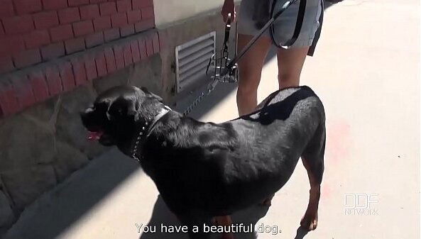 blowjob outdoors fills Alexis Cherry'_s mouth with