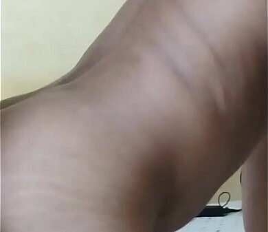 Passivo Coroado -Manaus