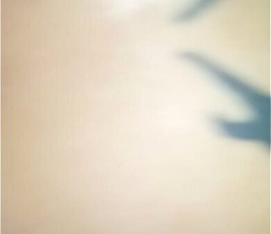 Culiando TRANNY sherytiffany whore slut