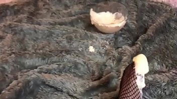 Pedalia Love'_s Dipping Fishnets Yogurt with Pink Heels