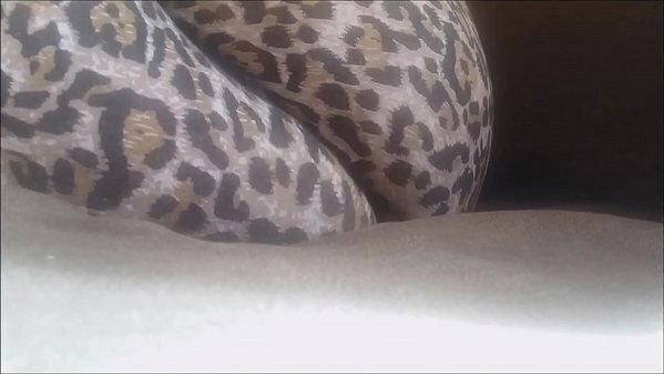 while swear talk phone with friend, telling I'_m slutty