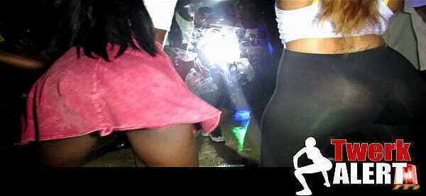 Twerk Alert Twerking Club