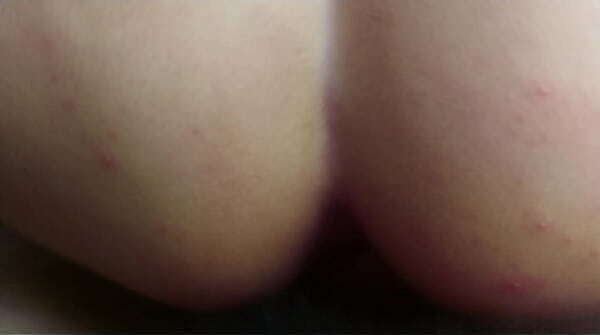 girlfriend'_s hole begging penetrated squeaky bed)