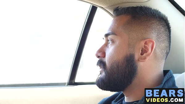 Kinky bear steamy fuck session with bearded young