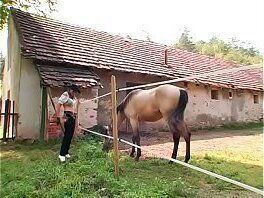 Kinky domme ties tapes thrall bdsm fetish