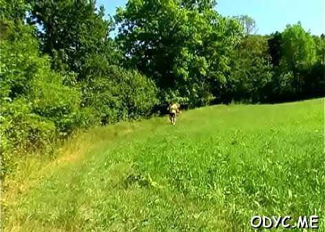 Horny young with taking penis hard