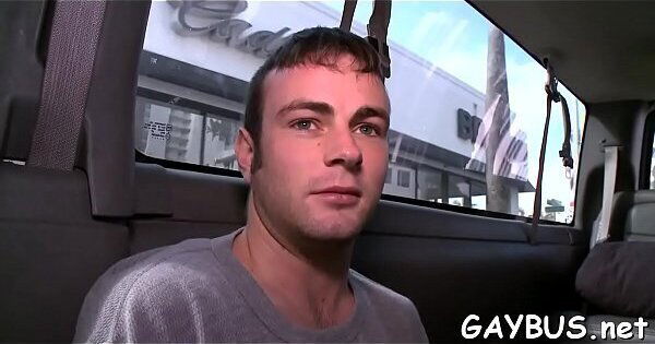 Wild drillings with impressive young males