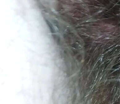 Fall Angel fall'_s gets massive creampie