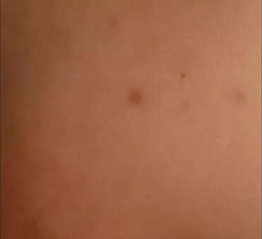 Sodomie capote. Xvideos