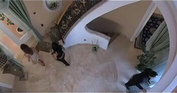 Crazy sluts get blasted and then fucked by hung studs