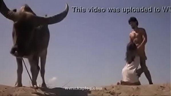 dessert, Anyone knows moovie name?