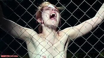 鞭打李探测器1歪