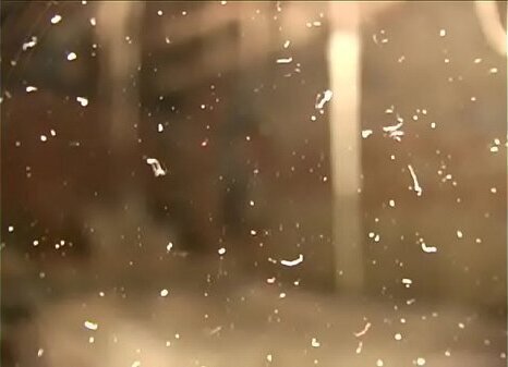 Super sexy teen lesbo babes like using various toys