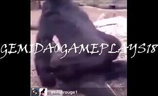 TRUCO VALENDO TOBA (VOU OLHA DEU!!!