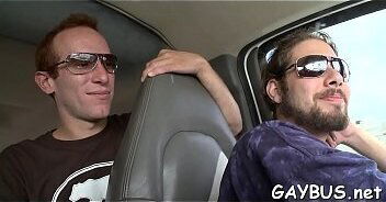 Homo invasion tumblr