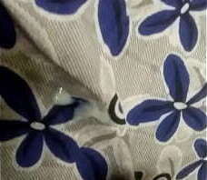 prabha.veer@rediffmail.com