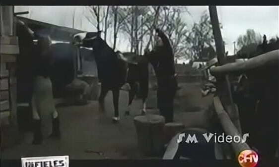 fragmento capitulo herencia INFIELES