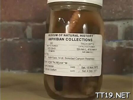 Playgirl over fucked