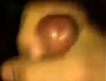 Paja argentina lechita