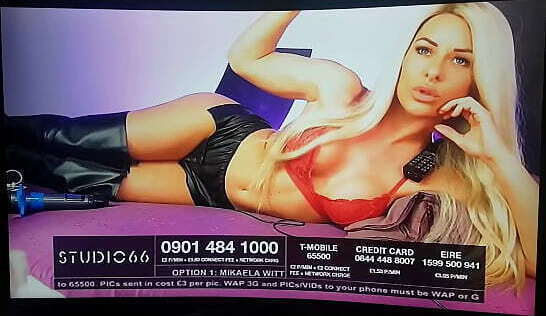 M!kaela W!tt babestation flexing biceps quads