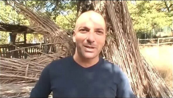 Franco Trentalance favorites