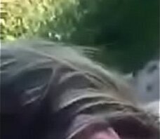 LaTroia.com, Coppia macchina camporella