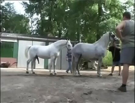 ANALINVASIONXXX-THE NEW CHALLENGE-424 03