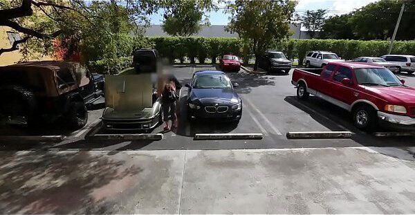 Fine young dilettante copulates