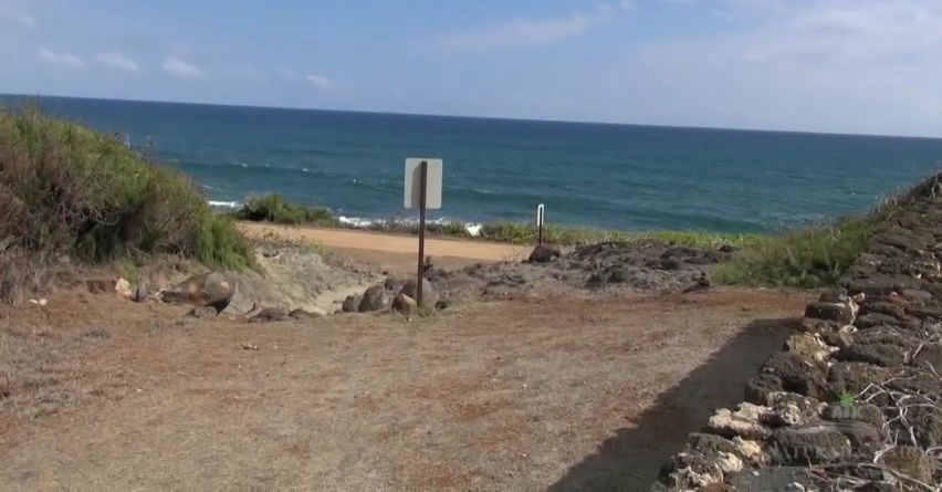 ATKGirlfriends video: virtual trip to Hawaii with Sativa Verte