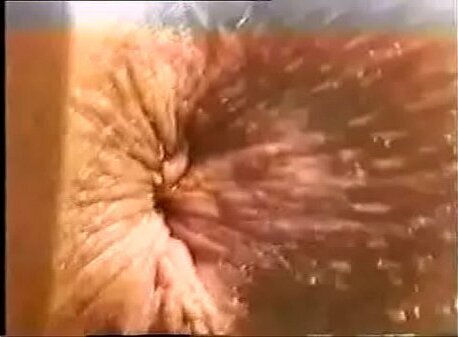 Cotijuba Ilha Prazer.