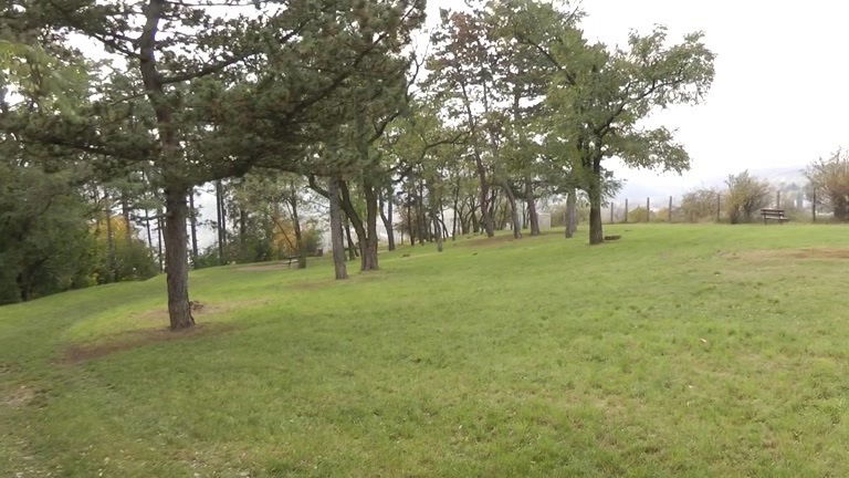 Outdoor fuck with a nasty brunette