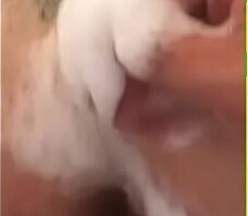 Esposa swinger milf culiando esposo