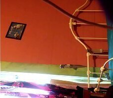 Cheating black girlfriend exposed