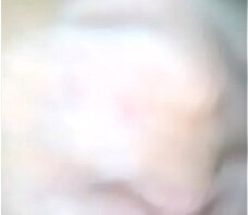 amiga envi&oacute_, extra&ntilde_andome....