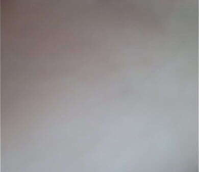 cojo jefa aumento Pawg Boss