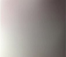 trim.9CBE54E8-7CA7-4CBB-88F8-523D4E6B0C6E.MOV