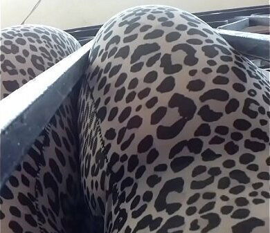 culo calza sacando ventana