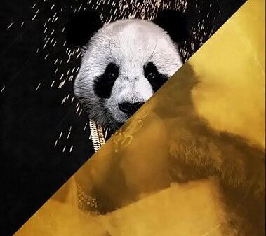 Desiigner Future Panda Mask (JLENS Edit)